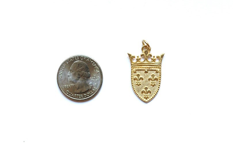 Gold Ornate Shield, Fleur De Lis, Shield Charm, Renaissance Charm, Silver Charm, Gold Charm, Charm Bracelet, Jewelry Finding, Component