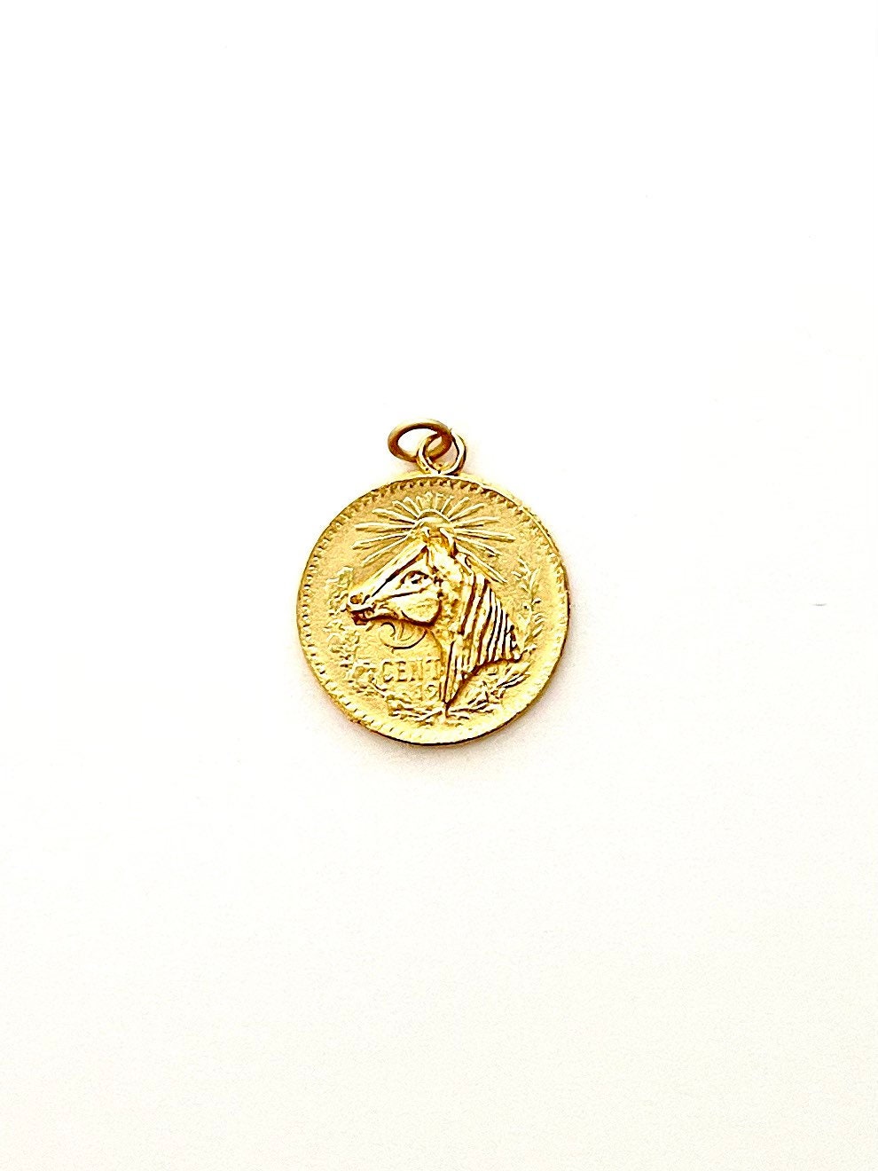 Horse Coin Pendant, Horse Head Pendant, Silver Horse Pendant, Statement Horse Pendant, Equestrian Pendant, Horse Pendant nt