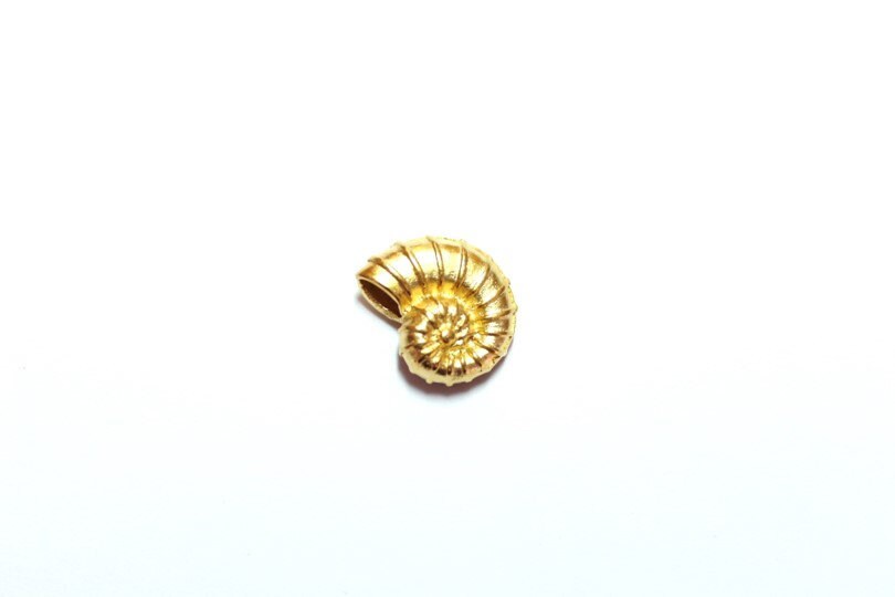 Nautilus Shell Charm, Gold Beach Charm, Shell Pendant, Shell Charm Bracelet, Beach Jewelry, Shell Charm Bracelet
