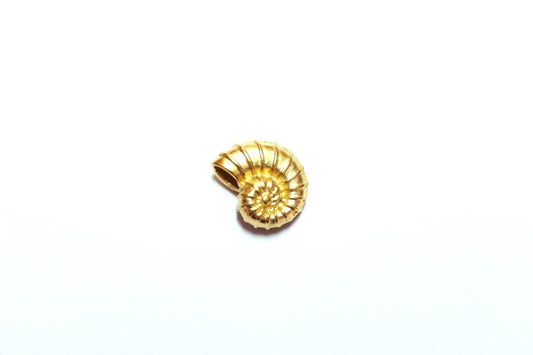 Nautilus Shell Charm, Gold Beach Charm, Shell Pendant, Shell Charm Bracelet, Beach Jewelry, Shell Charm Bracelet