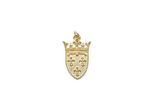 Gold Ornate Shield, Fleur De Lis, Shield Charm, Renaissance Charm, Silver Charm, Gold Charm, Charm Bracelet, Jewelry Finding, Component
