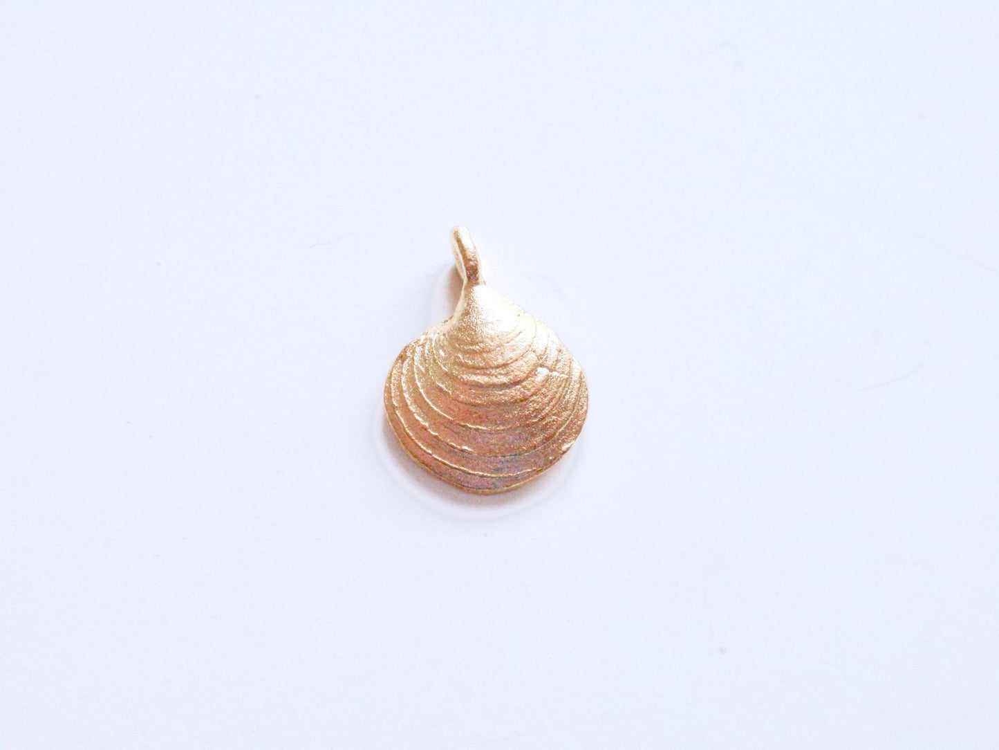 Gold Clam Charm, Seashell Charm, Shell Charm, Gold Charm, Silver Charm, Beach Charm, Beach Jewelry, Summer Jewelry, Ocean Charm, Sea Charm