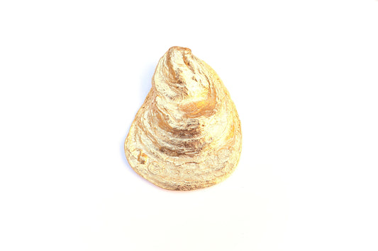 Joe's Oyster, Gold Oyster Pendant, Shell Pendant, Nautical Charm, Seashell Necklace, Gold Statement Necklace, Gold Pendant, Beach Jewelry